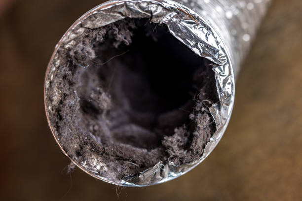 Best Air Duct Cleaning Near Me  in Oelwein, IA