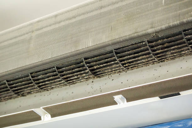 Best Professional Duct Cleaning Services  in Oelwein, IA